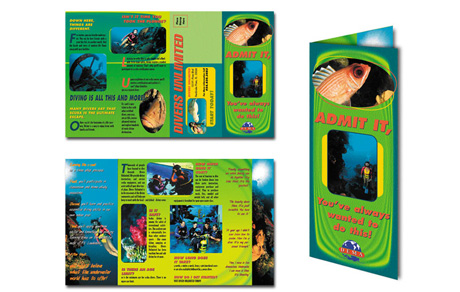 Divers Unlimited Brochure