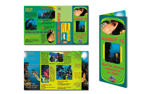 Divers Unlimited Brochure