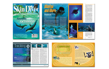 Skin Diver Magazine