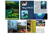 Pacific Diver Magazine