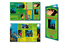 Divers Unlimited Brochure